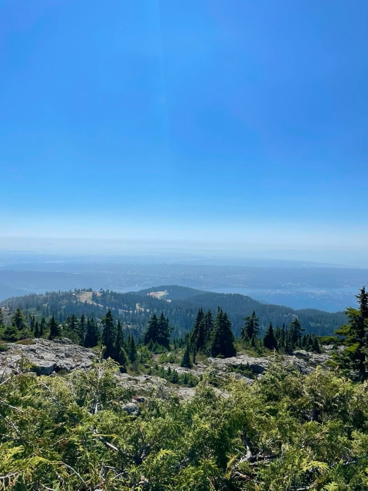 A mountain viewpoint above forested slopes beneath a clear blue sky